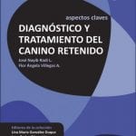 Aspectos Claves Diagnóstico Y Tratamiento Del Canino - Cib