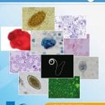 Atlas De Parasitología - Fondo Editorial Cib