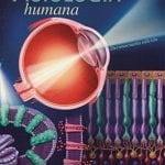 Fisiología Humana - Fox Ira Stuart - Mc Graw Hill