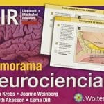 Memorama Neurociencia - Krebs Claudia - Lippincott