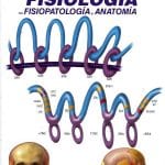 Textbook Afir 1 - Afir - Marban