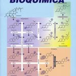 Textbook Afir 2 - Afir -  Marban