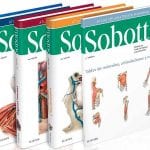 Sobotta Atlas De Anatomía Humana - Paulsen Friedrich - Elsevier