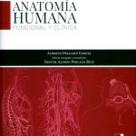 Anatomía Humana Funcional Y Clínica / Alberto Delgado Garcia / Univalle