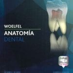 Woelfel Anatomía Dental  - Scheid Rickne - Lippincott