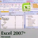 Excel 2007 Nivel Avanzado