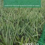 Cultivos Rentables De Clima Cálido - Felipe Durán Ramírez / Grupo Latino