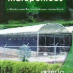 Producción De Pimentón, Tomate Y Lechuga En Hidropónicos - Grupo Latino
