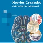 Nervios Craneales. En La Salud Y La Enfermedad - Wilson-Pauwels, - Panamericana