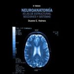 Neuroanatomía. Atlas De Estructuras, Secciones Y Sistemas 8va Edición - Haines Duane / Lippincott