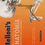 Mellonis Secretos De Anatomía (Estudio)  - Melloni June / Marban