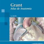 Grant Atlas De Anatomía 11va Edición - Panamericana