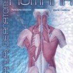 Manual De Anatomía Humana 3ra Edición - Celsus
