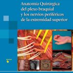 Anatomía Quirúrgica Del Plexo Branquial Y De Los Nervios Periféricos De La Extremidad Superior - Panamericana