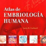 Netter. Atlas De Embriología Humana - Larry Cochard / Elsevier