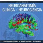 Neuroanatomía Clínica Y Neurociencia 6ta Edición. Fitzgerald M / Elsevier