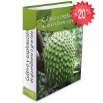 Cultivo Y Explotación De La Guanabana O Graviola - Grupo Latino