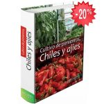 Cultivo De Pimientos, Chiles Y Ajies - Grupo Latino