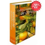 Cultivo Y Explotación De Cítricos - Grupo Latino