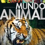 Enciclopedia Práctica Del Mundo Animal - Libsa