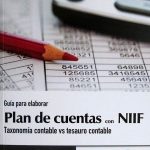Guía Para Elaborar Plan De Cuentas Con NIIF. Taxonomía Contable Vs Tesauro Contable - Ediciones De La U