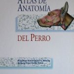 Atlas De Anatomía Del Perro - Klaus Budras / Ediciones S