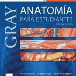 Gray Anatomía Para Estudiantes 3ra Edición - Drake Richard / Elsevier