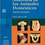 Anatomía De Los Animales Domésticos Tomo 1. Aparato Locomotor 2da Edición - Panamericana