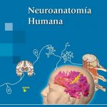 Neuroanatomía Humana / García / Editorial Medica Panamericana