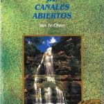 Hidráulica de Canales Abiertos / Ven Te Chow / MacGraw Hill