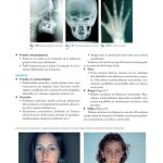 Ortognatodoncia en la Práctica Clínica / Massimo Rossi / AMOLCA