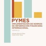 Pymes Implementacion Normas De Informacion Financiera Internacional / Borrero / Ediciones De La U