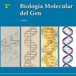 Biología Molecular Del Gen / Varios / Panamericana