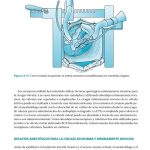 Guía de Anestesiología Clínica Anestesia Cardiaca y Ecocardiografía Transesofágica / John Wasnick / Amolca
