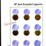 Manual  De Trabajo Social / María José Escartín / Aguaclara