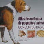 Atlas De Anatomía De Pequeños Animales/ Thomas O. McCracken & Robert A. Kainer / Lexus