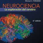Neurociencia La Exploracion Del Cerebro / Bears / Lippincott