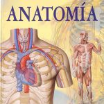 Atlas Ilustrado De Anatomía / Lexus