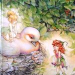 El País De Nunca Jamás Y El Secreto De Las Hadas / Gail