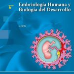 Embriología Humana Y Biología Del Desarrollo - 3a Ed. - Arteaga - Panamericana