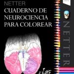Netter Cuaderno De Neurociencia Para Colorear / Elsevier