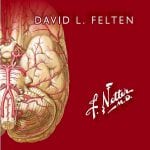 Netter Flashcards de Neurociencia / Felten - Elsevier