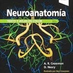 Neuroanatomía / Crossman - Elsevier