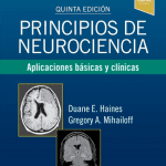 Principios de Neurociencia / Haines - Elsevier