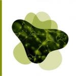 Neurología / Alvarez - Panamericana