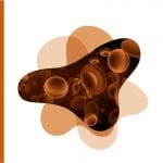 Hematología - Garcia y Tenorio - Panamericana