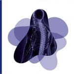 Traumatología / Cebrerio - Panamericana