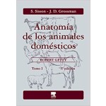 Anatomía De Los Animales Domésticos Tomo 1 - Sisson / Grossman - Elsevier