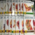 Enciclopedia Visual del cuerpo humano 18 T +DVD / Kurt H - Cantabria